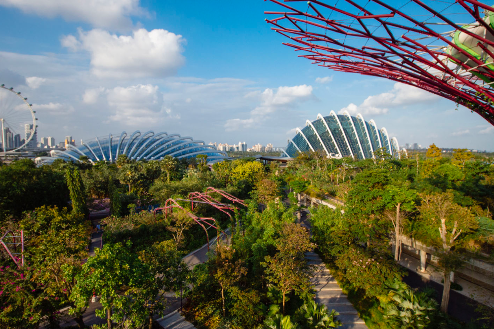 Supertree Observatory