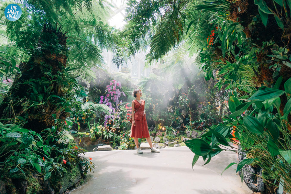 National Orchid Garden